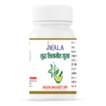 SHUDH SHILAJEET DRY